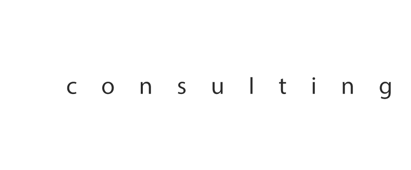 Logo 300 Consulting